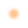 🟠