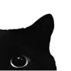 ♠️