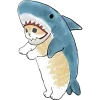 🦈