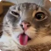 👅
