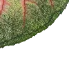 🌿