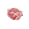 🌸