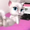 😽