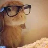 🤓
