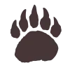 🐾