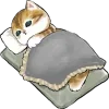 😴