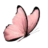 🦋
