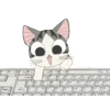 🐈