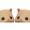 🤍