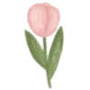 🌷