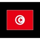 🇹🇳
