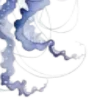 ™️