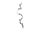 🦷
