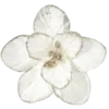🌼