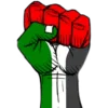 🇵🇸
