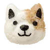 🐶