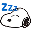 💤