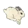 🐰