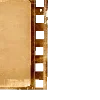 🎞