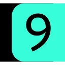 9️⃣