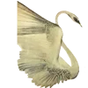 🦢