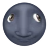 🌚