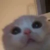 😯