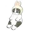 🐰