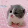💖