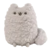 🐱