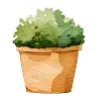 🪴