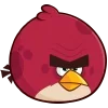 🐦