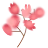 💐