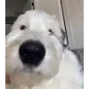 😚