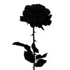 🖤