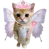 🐱