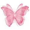 🦋