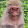 😂