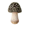 🍄