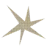 🌟
