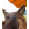 🤗