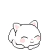 🐈