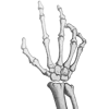 🤚
