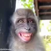 😁