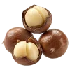 🌰