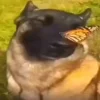 😁