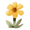 🌼