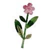 🌷