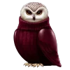 🦉