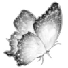 🦋